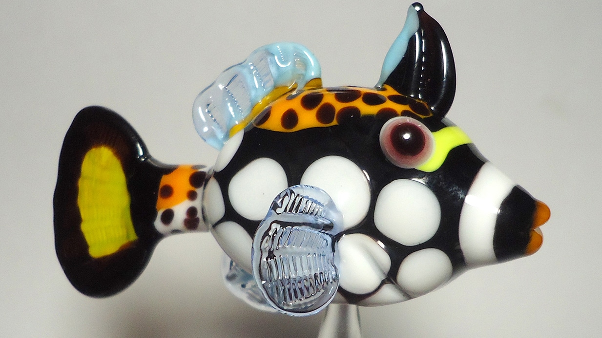 glass fish by deb crowley
